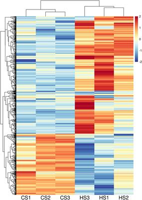 Genome-wide DNA methylation and transcription analysis reveal the potential epigenetic mechanism of heat stress response in the sea cucumber Apostichopus japonicus